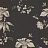 Обои Cole & Son Fornasetti 77/8030