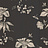 Обои Cole & Son Fornasetti 77/8030
