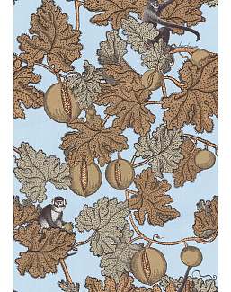 Обои Cole & Son Fornasetti 77/12046