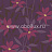 Обои York Antonina Vella - Bella Rosa LS6190
