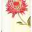 Обои York Antonina Vella - Botanica VB6740