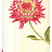 Обои York Antonina Vella - Botanica VB6740