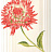 Обои York Antonina Vella - Botanica VB6744