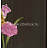 Обои York Antonina Vella - Botanica VB6741