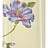 Обои York Antonina Vella - Botanica VB6745
