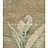 Обои York Antonina Vella - Botanica VB6798