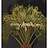 Обои York Antonina Vella - Botanica VB6761