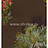 Обои York Antonina Vella - Botanica VB6760