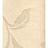 Обои York Ronald Redding - Tonal Resource NL1301