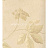 Обои York Ronald Redding - Tonal Resource NL1385