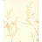 Обои York Ronald Redding - Tonal Resource NL1364