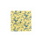 Обои Thibaut Toile Resource II T9787