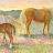 Бордюр Chesapeake Girls Rule GIR83021B