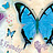 Бордюр Chesapeake Girls Rule GIR94063B