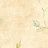 Обои Chesapeake Coastal Waters Volume II CT47561