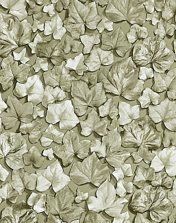 Обои Zoffany Quartz 310980