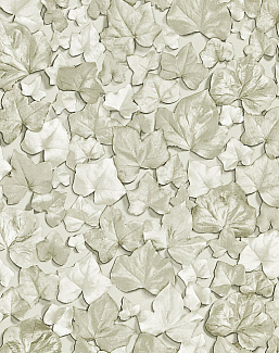 Обои Zoffany Quartz 310979