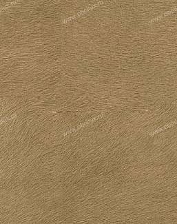 Обои Elitis Memoires VP62508