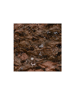 Обои Elitis Nature precieuse RM63190