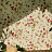 Обои Cole & Son Collection of Flowers 81/11048