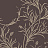 Обои Cole & Son Collection of Flowers 81/12053