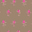 Обои Cole & Son Collection of Flowers 81/4017