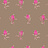 Обои Cole & Son Collection of Flowers 81/4017
