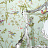 Обои Cole & Son Collection of Flowers 62/1004