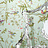 Обои Cole & Son Collection of Flowers 62/1004