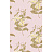 Обои Cole & Son Collection of Flowers 81/6025