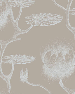 Обои Cole & Son Contemporary Selection 69/3110