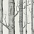 Обои Cole & Son The Contemporary Collection 69-12147