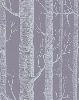 Обои Cole & Son The Contemporary Collection 69-12151