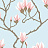 Обои Cole & Son The Contemporary Collection 72-3011