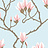 Обои Cole & Son The Contemporary Collection 72-3011