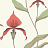 Обои Cole & Son The Contemporary Collection 95-10054