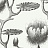 Обои Cole & Son Contemporary Restyled 95/4020