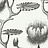 Обои Cole & Son Contemporary Restyled 95/4020