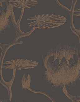 Обои Cole & Son Contemporary Restyled 95/4021