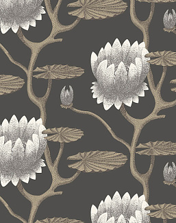 Обои Cole & Son The Contemporary Collection 95-4026