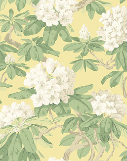Обои Cole & Son Folie 99/4021