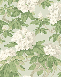 Обои Cole & Son Folie 99/4022