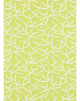 Обои Thibaut Resort T16072
