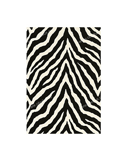 Обои Thibaut Geometric Resource T1868