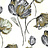 Обои York Carey Lind - Rhythm & Hues RC3733