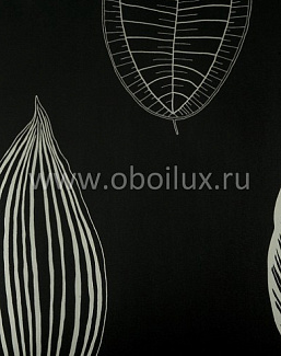 Обои Osborne & Little Folia W5793-01