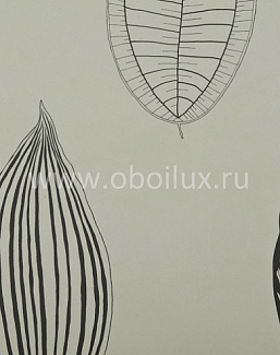 Обои Osborne & Little Folia W5793-02