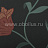 Обои Osborne & Little Boheme W5452-01