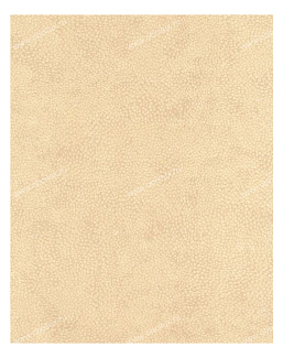 Обои Osborne & Little Wallpaper Album IV WHS03