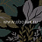 Обои Nina Campbell Perroquet NCW3835-05